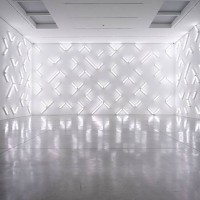 Robert Irwin Light and Space II