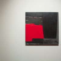 tara costello rosalux gallery
