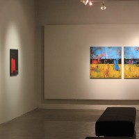 shawn mcnulty art exhibit