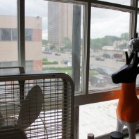 mcnulty-studio-disco-deer-window