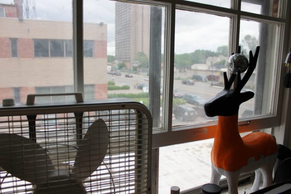 mcnulty-studio-disco-deer-window