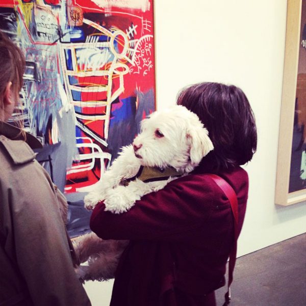 jean michel basquiat exhibition dog gagosian