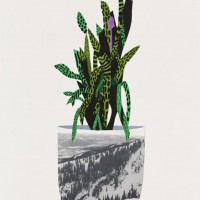 Jonas Wood Artist Art Plant Print
