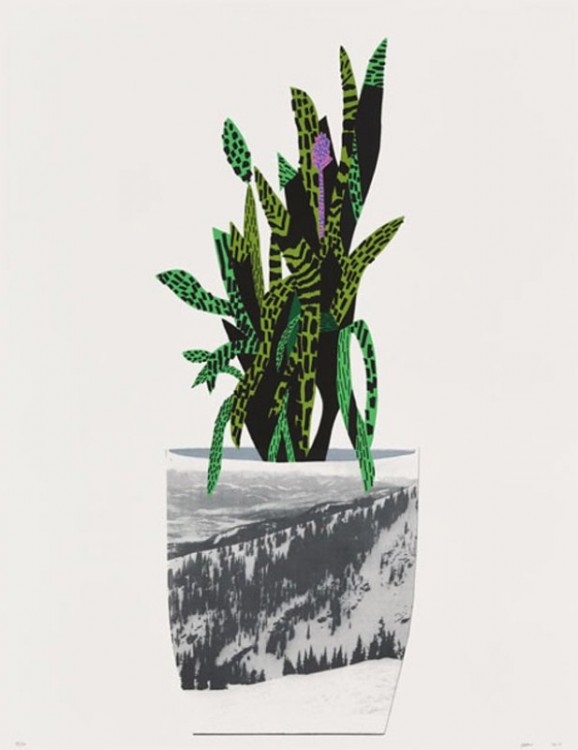 Jonas Wood Artist Art Plant Print