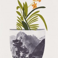 Jonas Wood Plant Art Print