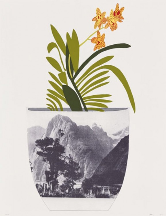 Jonas Wood Plant Art Print