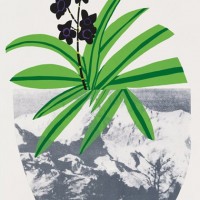 Jonas Wood Plant Pop Art