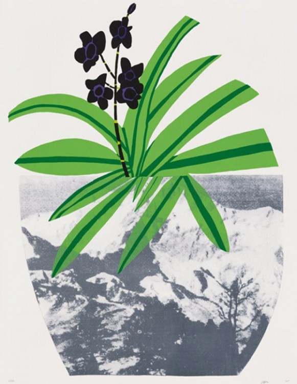 Jonas Wood Plant Pop Art