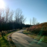 Bike Dog Trails Hyland Lake Park Reserve Minnesota