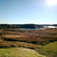 Hyland Lake Park Reserve Bloomington Minnesota