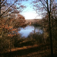 Hyland Lake Park Reserve Three Rivers District