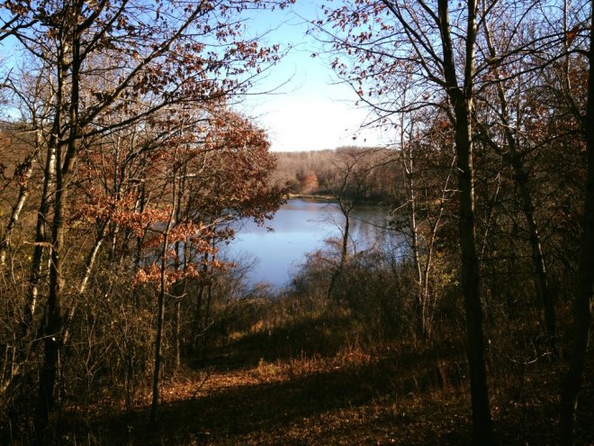 Hyland Lake Park Reserve Three Rivers District