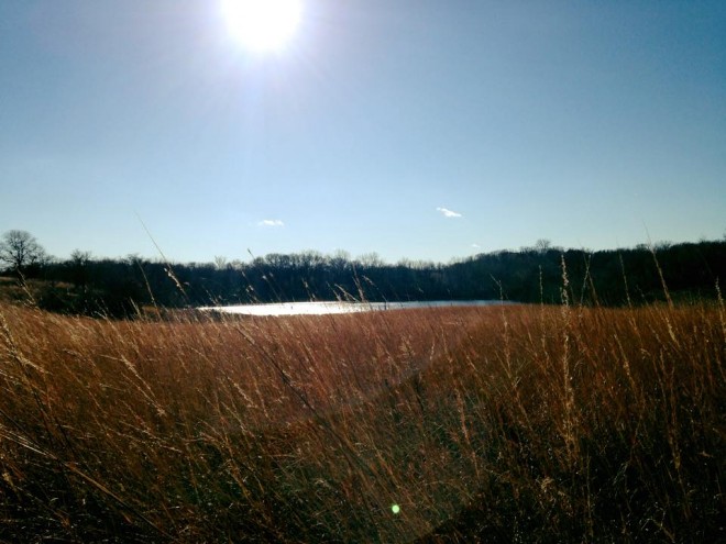 MN Minnesota Native Grass Richardson Nature Center