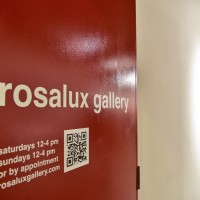 Rosalux Gallery Minnesota Artist Cooperative