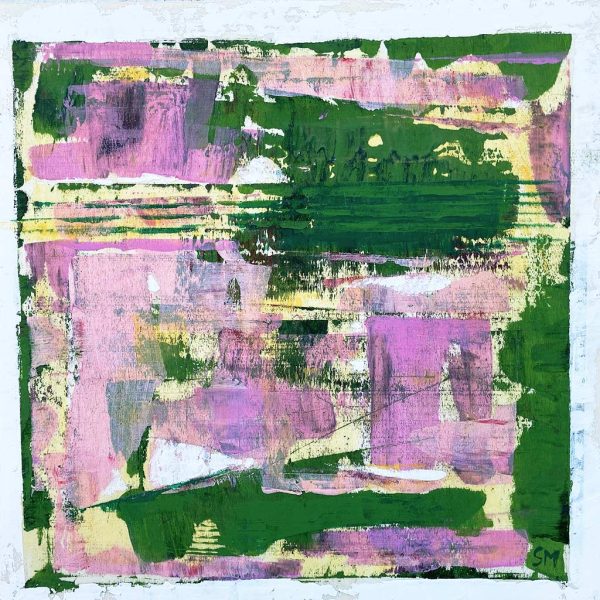 Calathea Plant Care Orbifolia Makayona Ornata Lancifolia