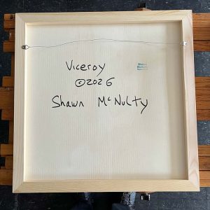Viceroy Back